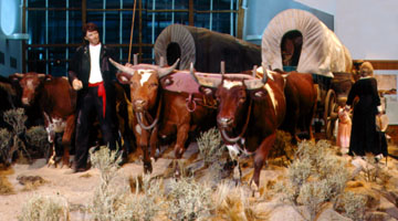 Oregon Trail oxen-wagon